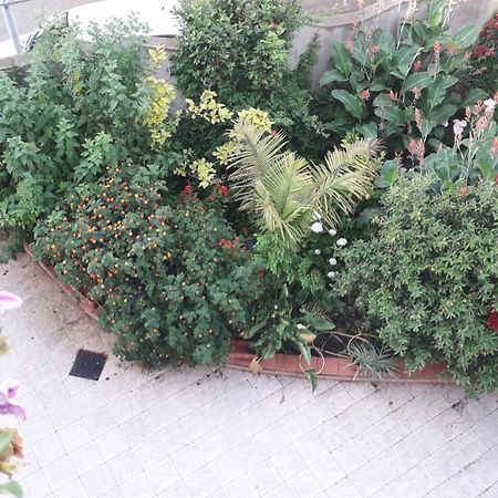 Bed And Breakfast Le Petunie Bari Sardo Exterior foto